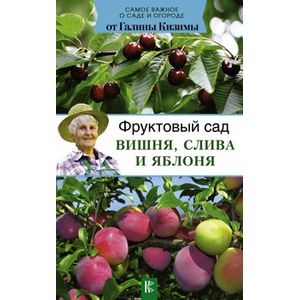 Фруктовый сад. Вишня, слива и яблоня