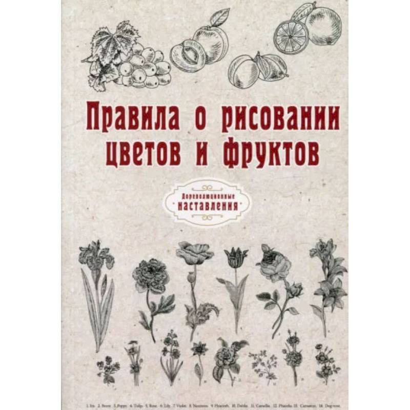 Правила о рисовании цветов и фруктов.
