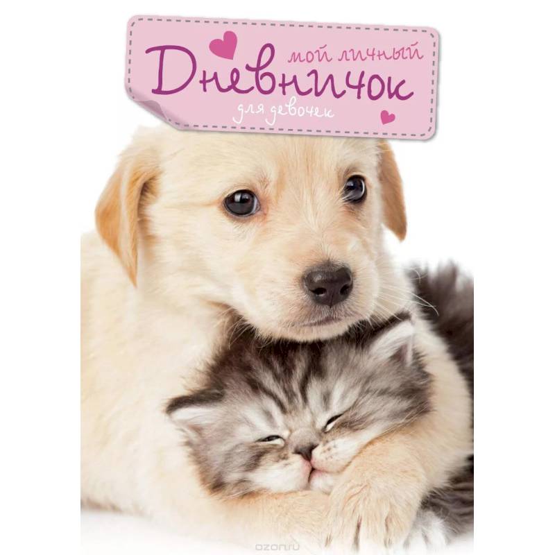 Мой личный дневничок 'Кот и Пёс'