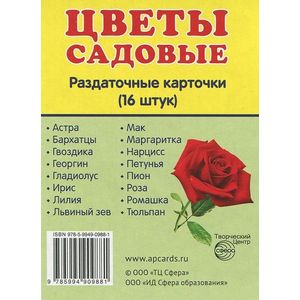 Раздаточные карточки 'Цветы садовые' (16 штук)