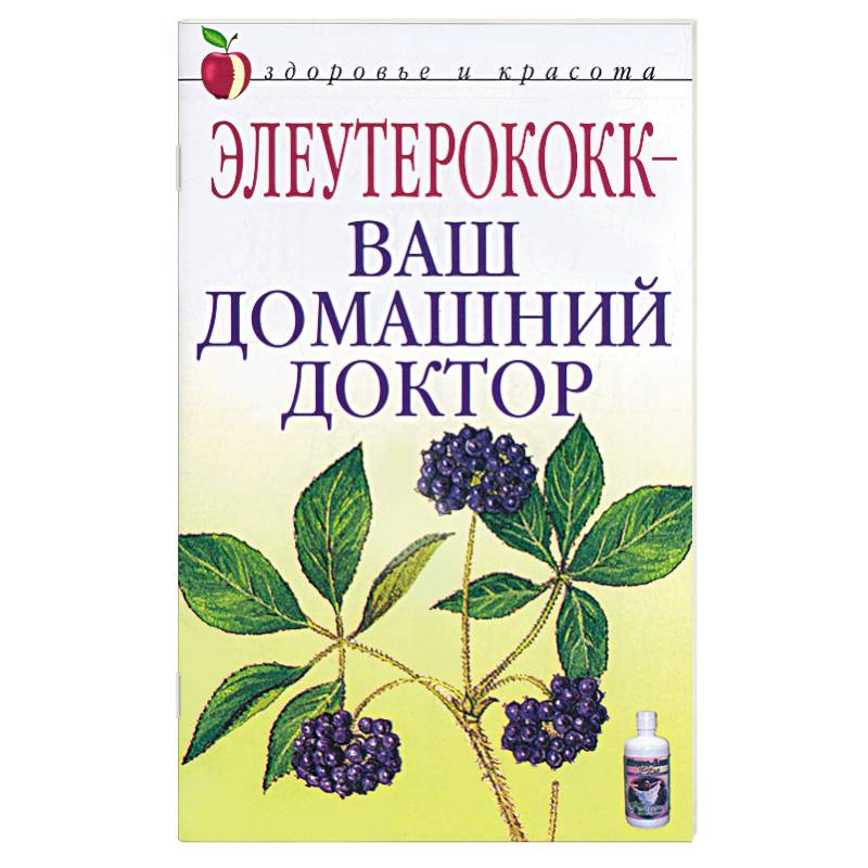 Элеутерококк - ваш домашний доктор