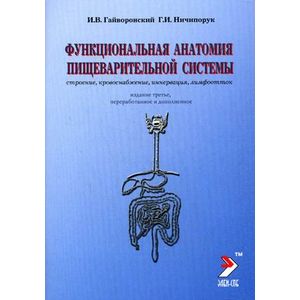 Функциональная анатомия органов пищеварительной системы
