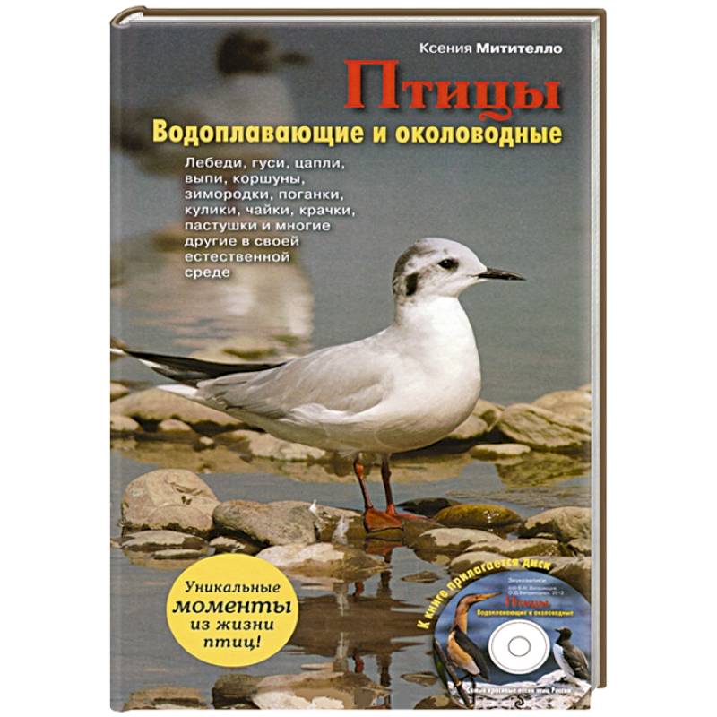 Птицы. Водоплавающие и околоводные (+CD)
