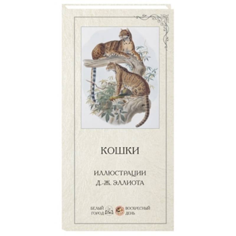 Кошки