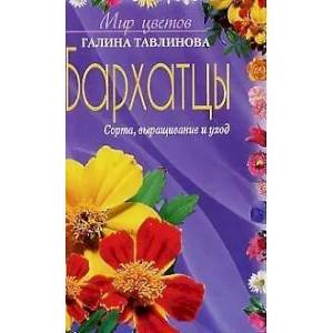 Бархатцы сорта выращивание и уход