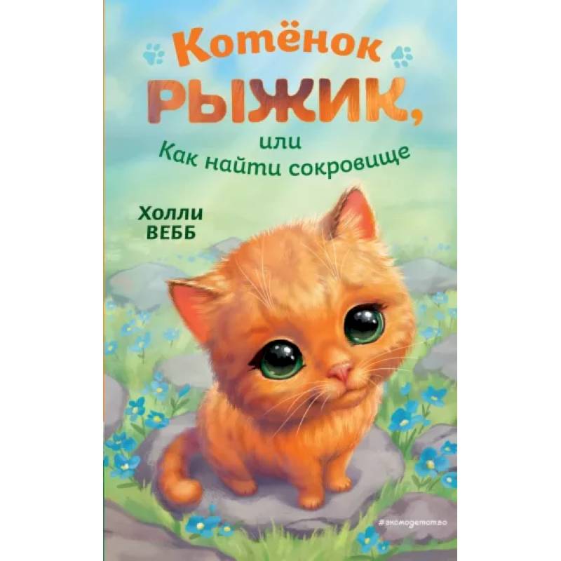 Котёнок Рыжик, или Как найти сокровище