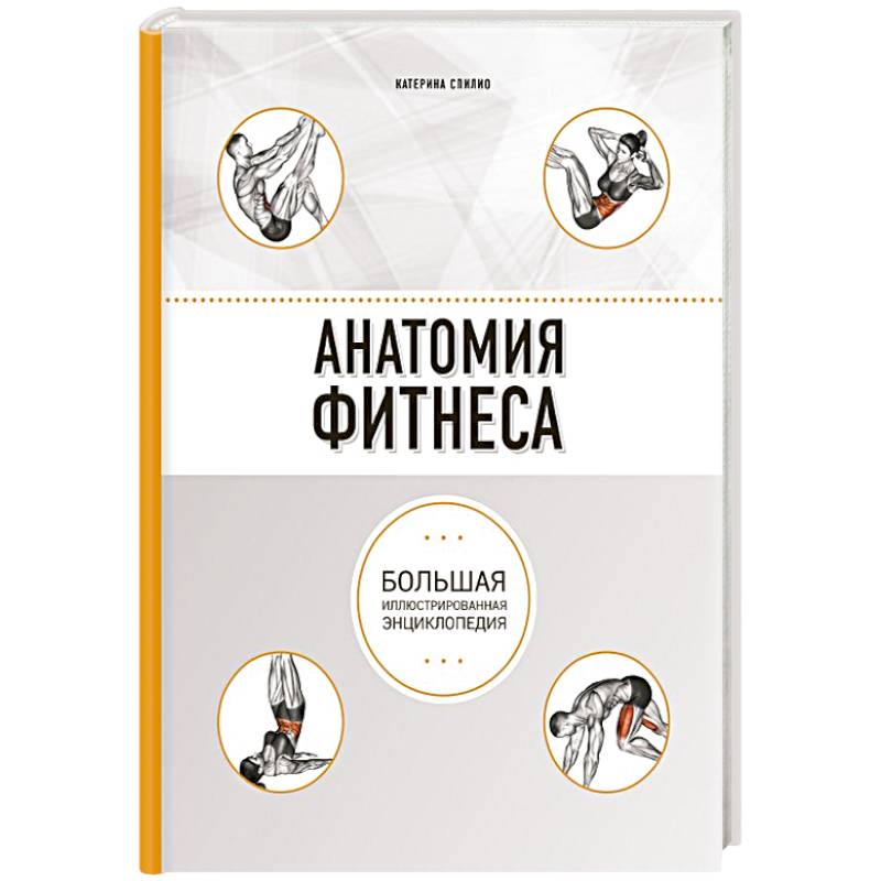 Анатомия фитнеса