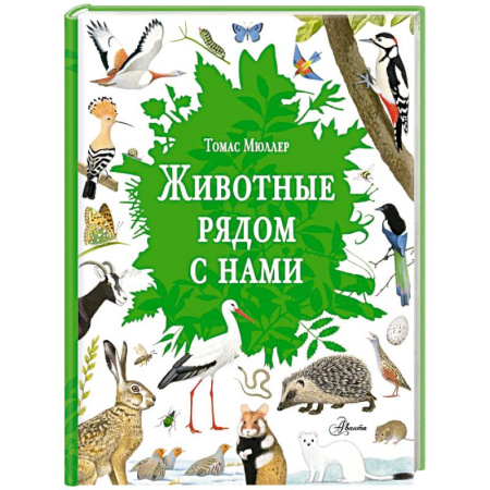 Животный и растительный мир, книга Животные рядом с нами купить по скидке