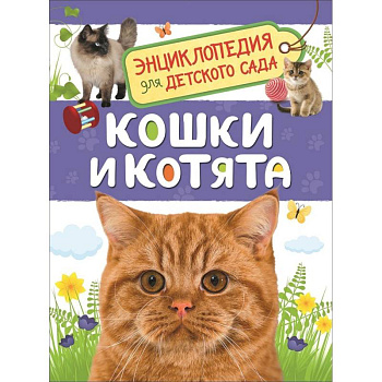 Кошки и котята Кошки и котята
