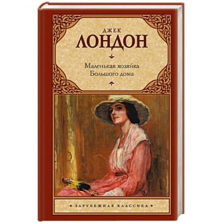 Книги, книга Маленькая хозяйка Большого дома купить по скидке