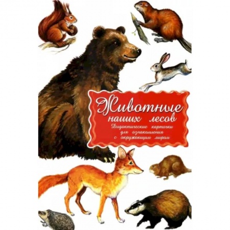 Животный и растительный мир, книга Дидактические карточки. Животные наших лесов купить по скидке