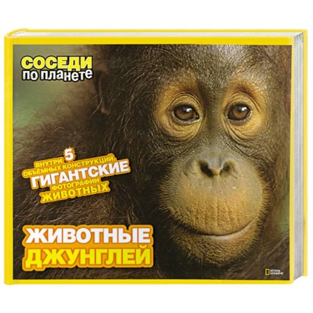 Книги, книга Животные джунглей купить по скидке