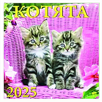 Календарь настенный на 2025 год Котята
