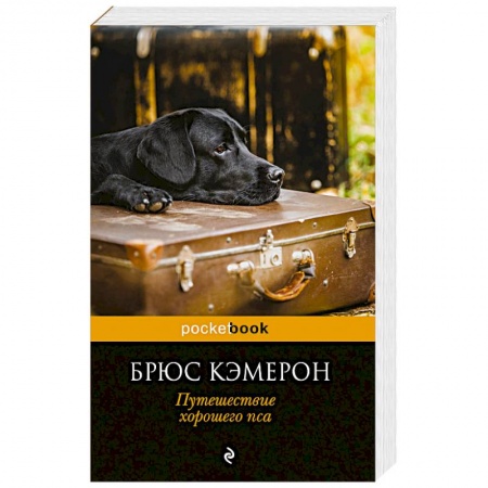 Зарубежная современная проза, книга Путешествие хорошего пса купить по скидке