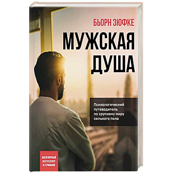 Мужская душа. Психологический путеводитель по хрупкому миру сильного пола Мужская душа. Психологический путеводитель по хрупкому миру сильного пола