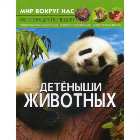 Животный и растительный мир, книга Мир вокруг нас. Детеныши животных купить по скидке