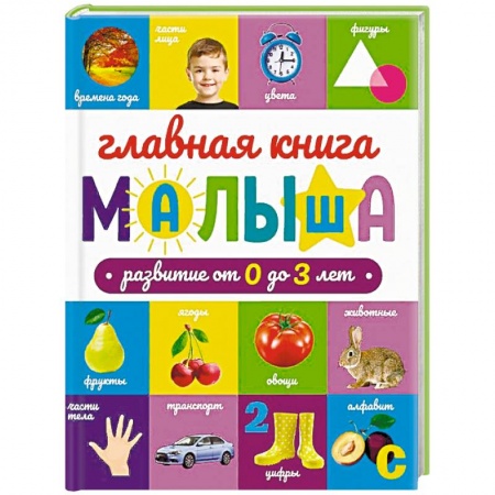 Знакомство с миром, развитие малыша, книга Главная книга малыша купить по скидке