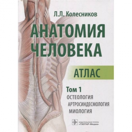 Другие виды специальной медицины, книга Анатомия человека. Атлас. Том 1: Остеология купить по скидке