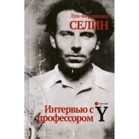 Зарубежная современная проза, книга Интервью с профессором Y купить по скидке