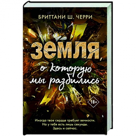 Зарубежный любовный роман, книга Земля, о которую мы разбились купить по скидке