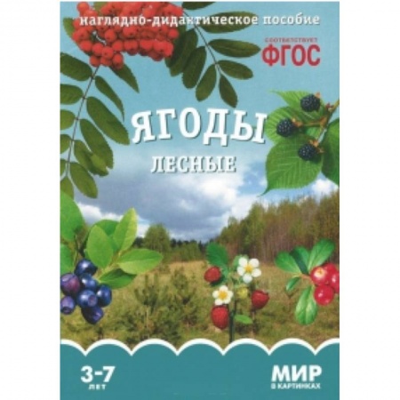 Книги, книга Ягоды лесные. Наглядно-дидактическое пособие. 3-7 лет купить по скидке
