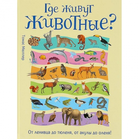 Животный и растительный мир, книга Где живут животные? От ленивца до тюленя, от акулы до оленя! купить по скидке