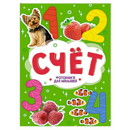 Книги для дошкольников (4-6 лет), книга Счет купить по скидке