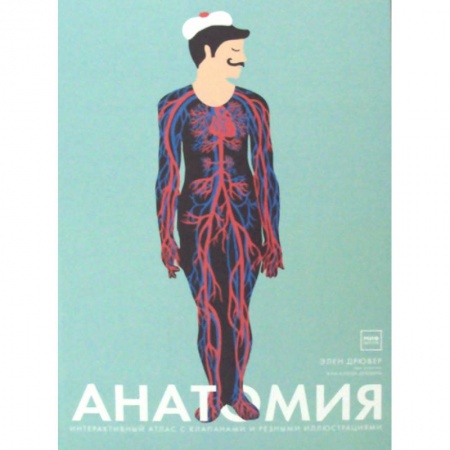 Познавательная литература, книга Анатомия купить по скидке