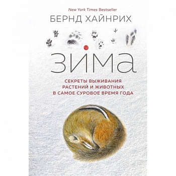 Зима.Секреты выживания растений и животных в самое суровое время года