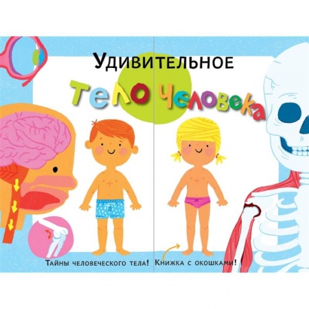 Познавательная литература, книга Удивительное тело человека купить по скидке
