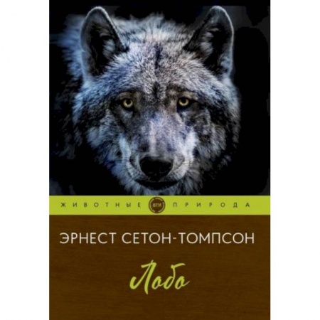 Зарубежная литература для детей, книга Лобо купить по скидке