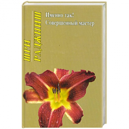 Книги, книга Именно так! Совершенный мастер купить по скидке