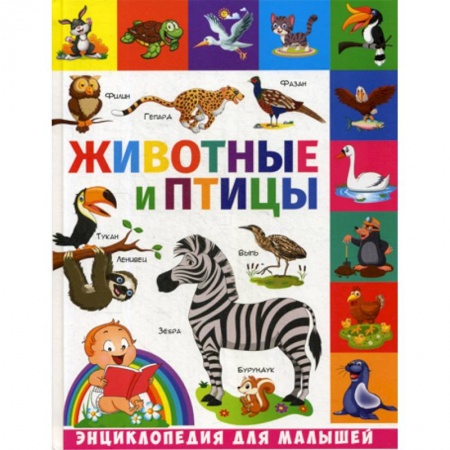 Животный и растительный мир, книга Животные и птицы купить по скидке