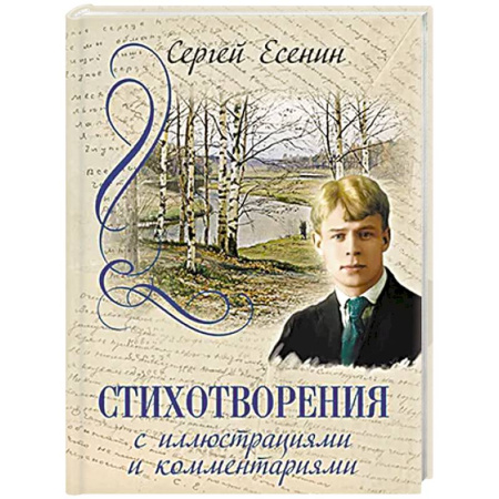 Русская поэзия, книга Стихотворения с иллюстрациями и комментариями купить по скидке