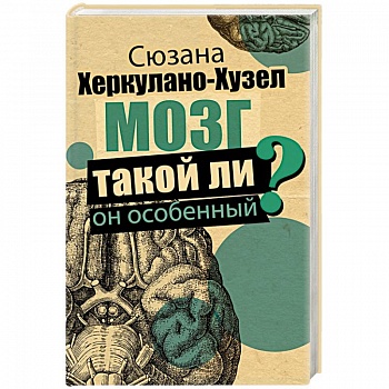 Мозг. Такой ли он особенный?