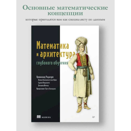 Информационные технологии, книга Математика и архитектура глубокого обучения купить по скидке