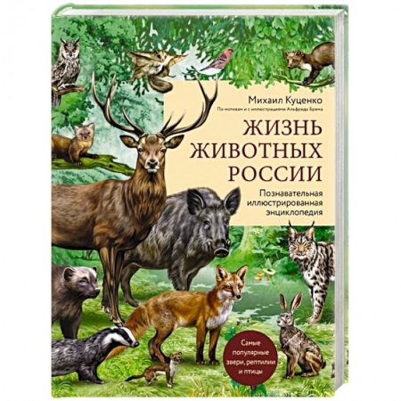 Животный и растительный мир, книга Жизнь животных России. Познавательная иллюстрированная энциклопедия купить по скидке