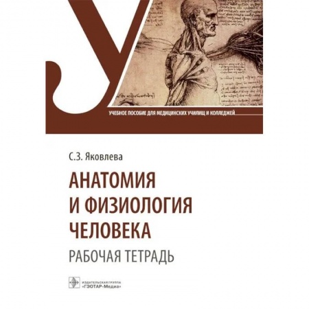 Анатомия и физиология человека, книга Анатомия и физиология человека. Рабочая тетрадь. Учебное пособие купить по скидке