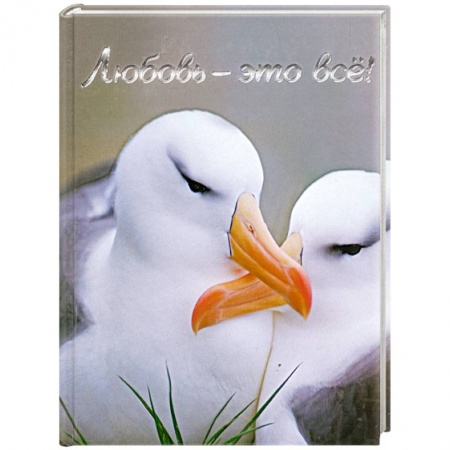 Книги, книга Любовь - это всё! купить по скидке