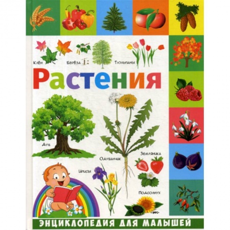 Животный и растительный мир, книга Растения купить по скидке