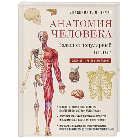 Анатомия и физиология человека, книга Анатомия человека: большой популярный атлас купить по скидке