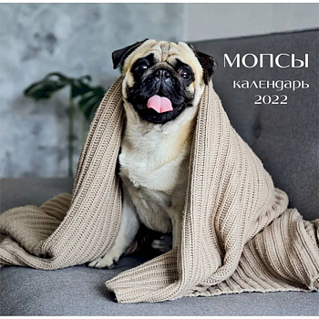 Мопсы (фото). Календарь настенный на 2022 год
