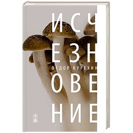 Книги, книга Исчезновение купить по скидке