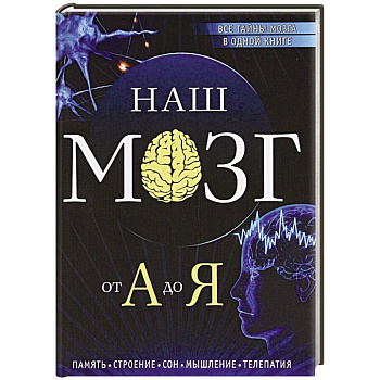 Наш мозг от А до Я