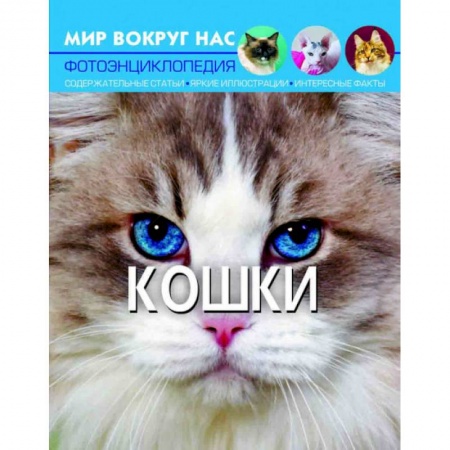 Животный и растительный мир, книга Мир вокруг нас. Кошки купить по скидке