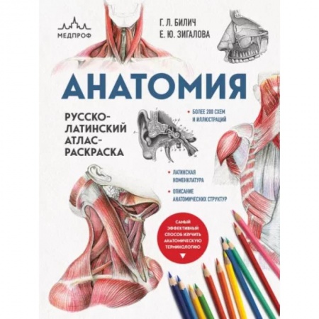 Книги для творчества, книга Анатомия: русско-латинский атлас-раскраска купить по скидке