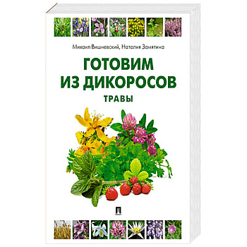 Готовим из дикоросов. Травы