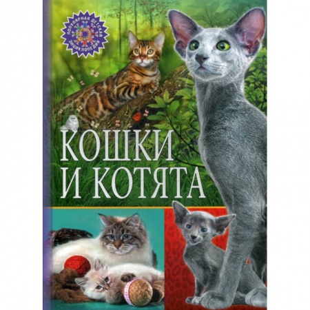 Животный и растительный мир, книга Кошки и котята купить по скидке