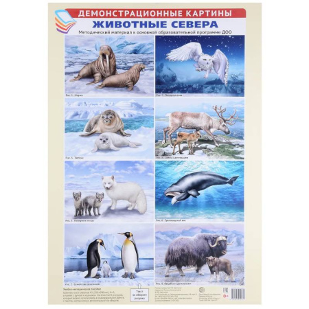 Животный и растительный мир, книга Животные Севера. Методический материал к основной образовательной программе ДОО (8 плакатов) купить по скидке