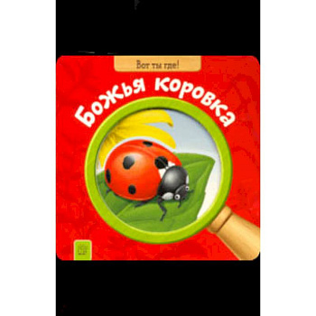 Вот ты где! Божья коровка